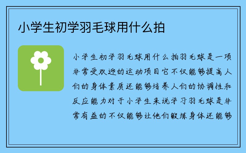 小学生初学羽毛球用什么拍