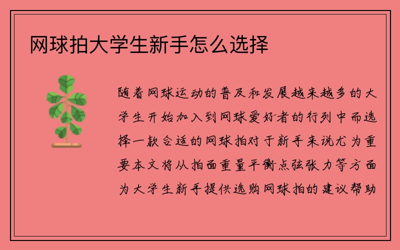 网球拍大学生新手怎么选择